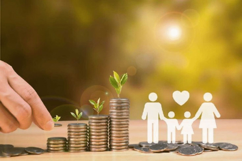 insurance claims consultant