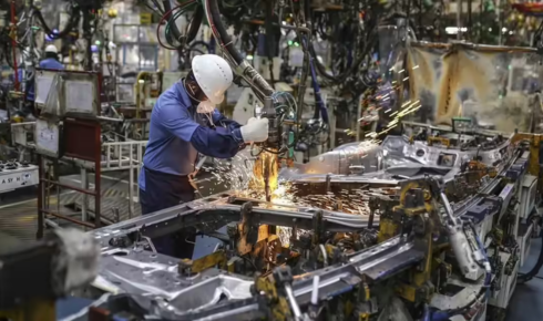 chelated minerals manufacturers