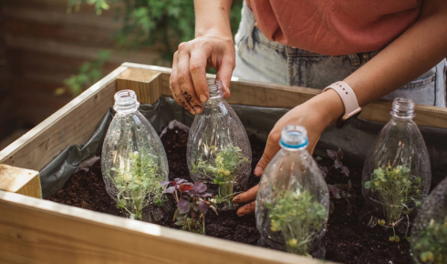 plastic bottle recycling