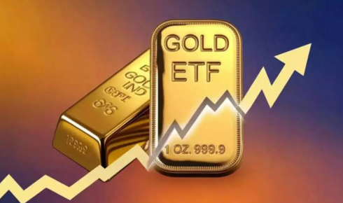 Tata Gold ETF share