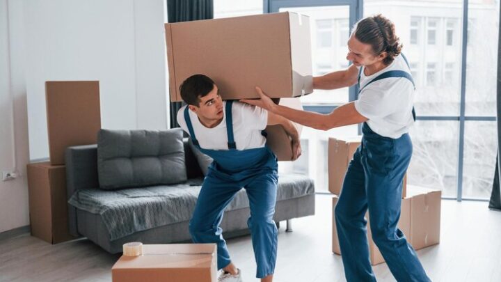Professional Removals Brighton
