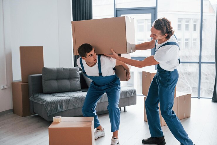 Professional Removals Brighton