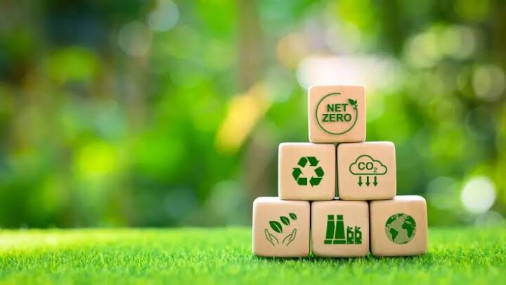 carbon credit feasibility study