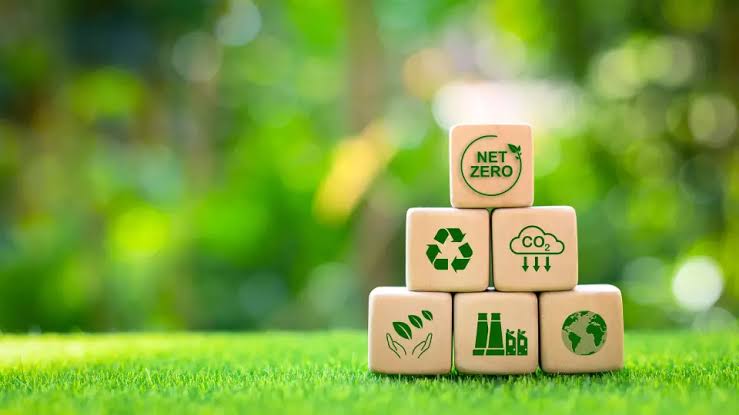 carbon credit feasibility study